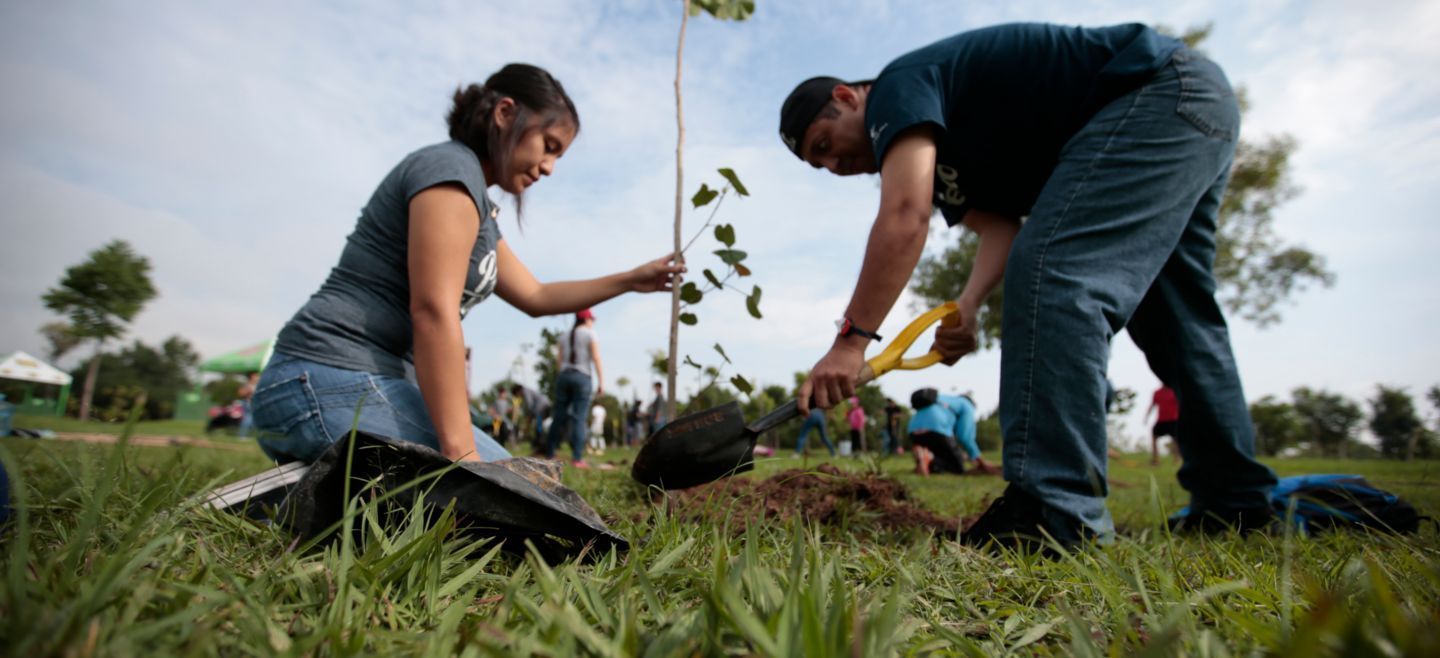 Invita ecología a programa «Reforestar tu Colonia»
