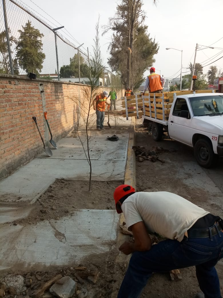 Plantan árboles en Las Ceibas para recuperar el entorno