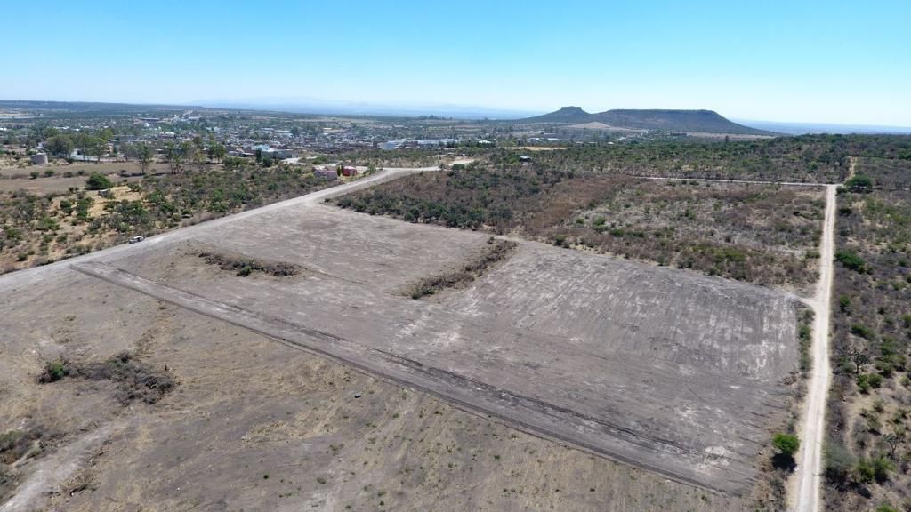 Reforestarán 5 hectáreas en Unión de San Antonio