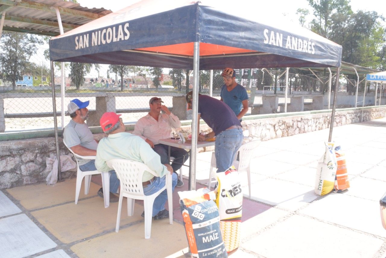 Apoyan a productores con  semilla mejorada