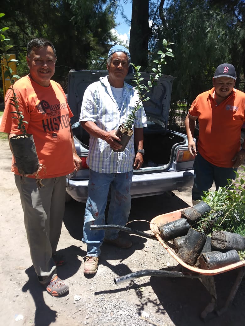 Dona Parques y Jardines más de 15 mil árboles