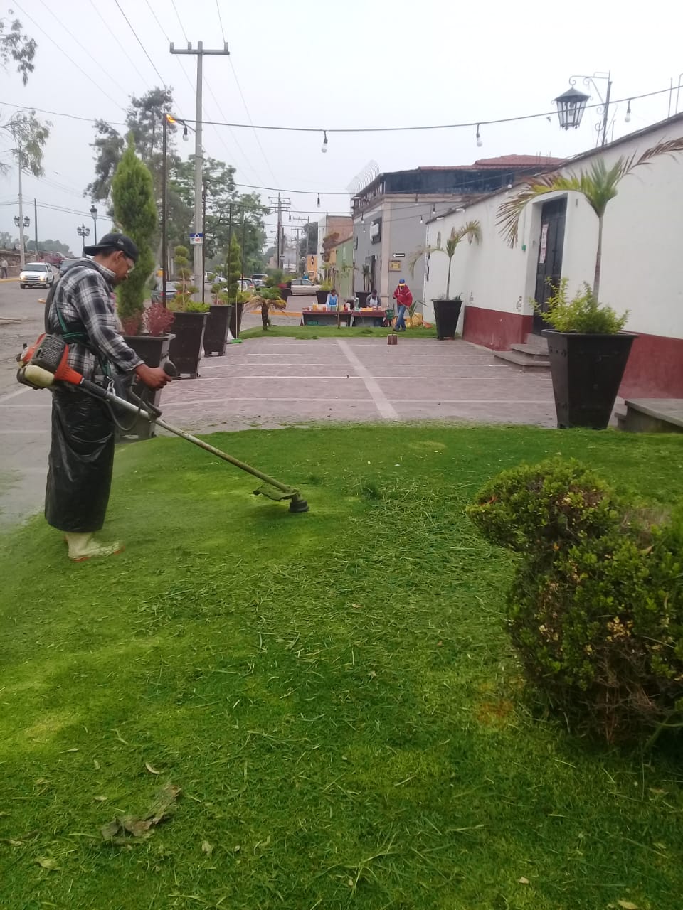 Trabaja parques y jardines en el embellecimiento de áreas verdes