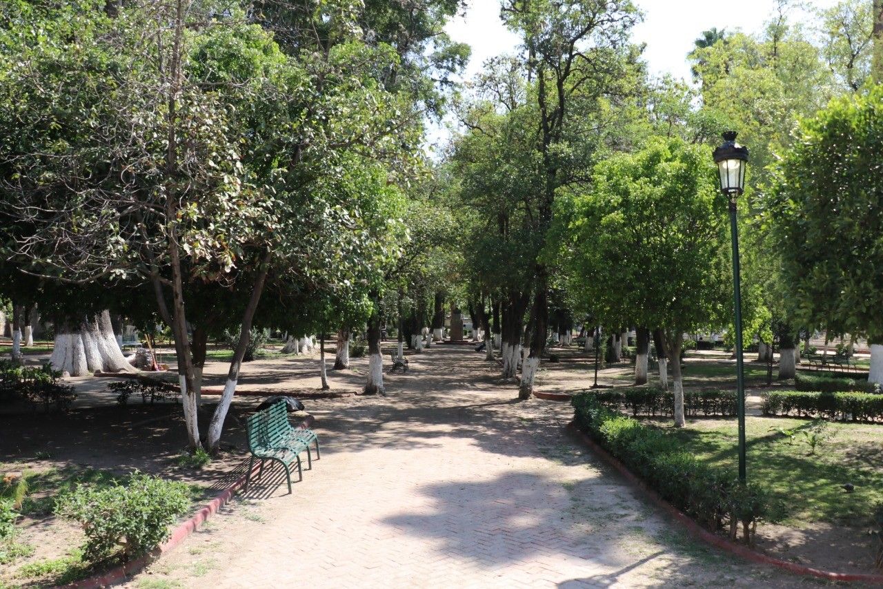Reparan alumbrado del Jardín Grande
