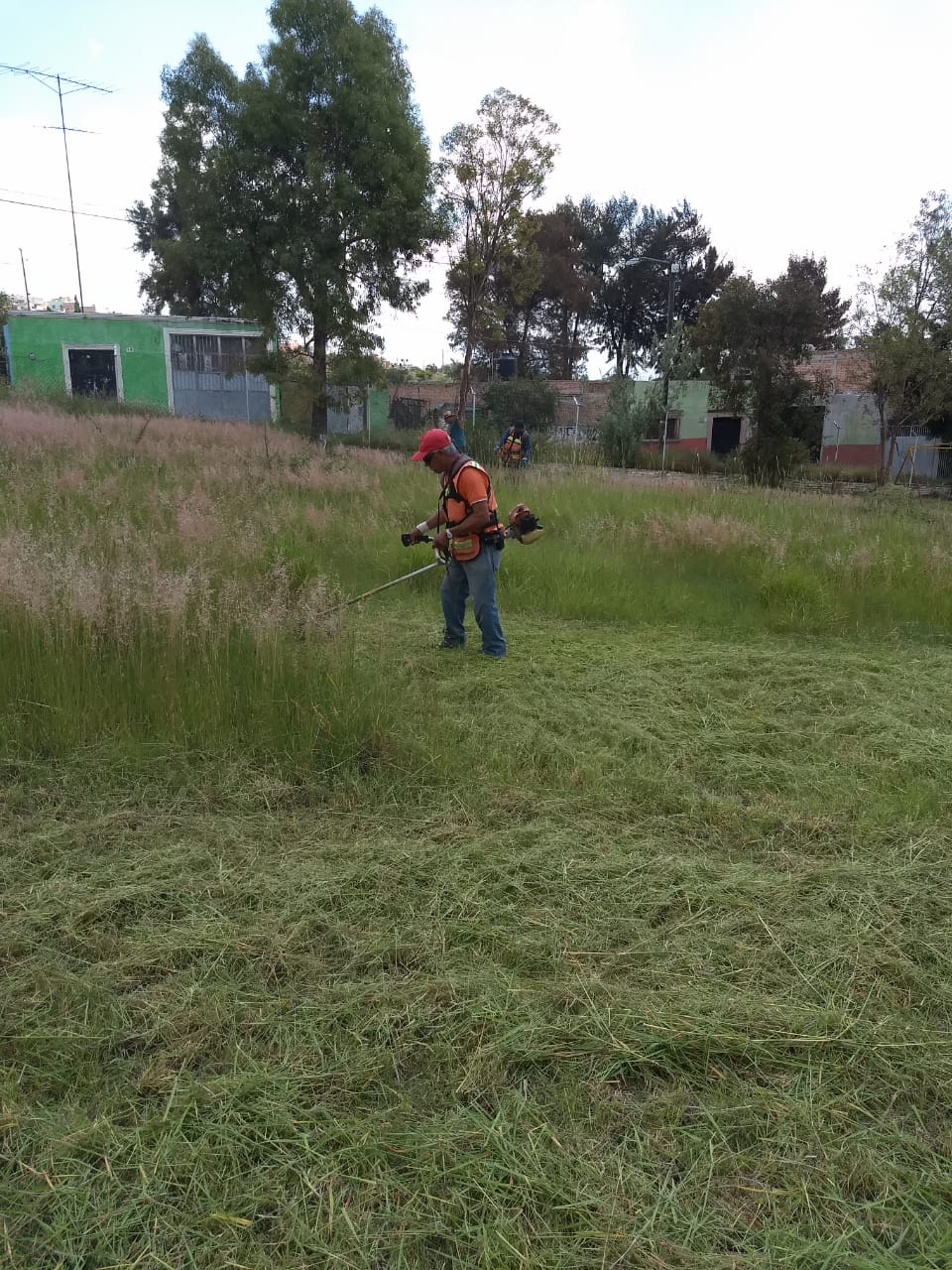 Brinda apoyo municipio a instituciones educativas con el corte de pasto y maleza