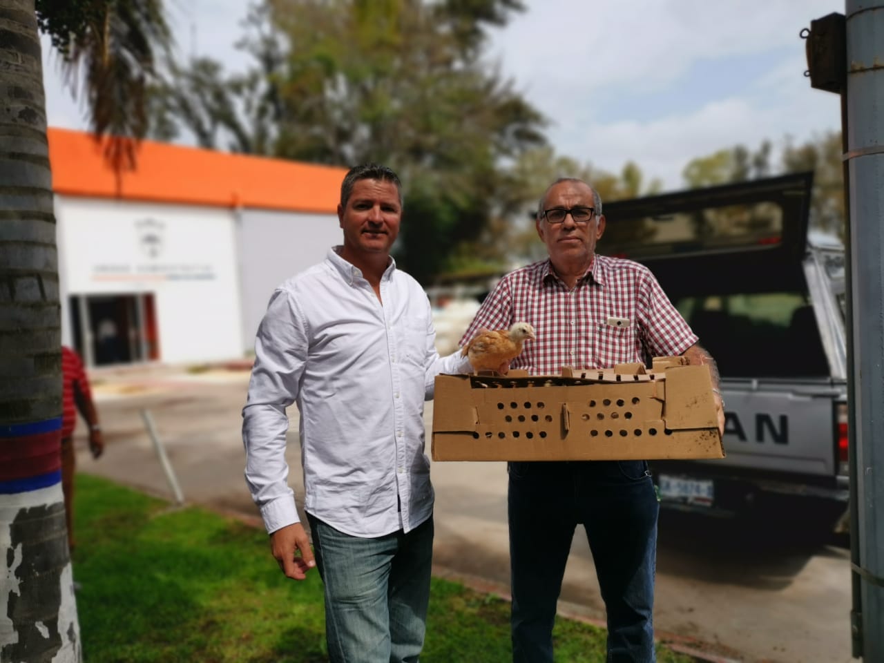 Entrega Desarrollo Rural paquete de aves de postura