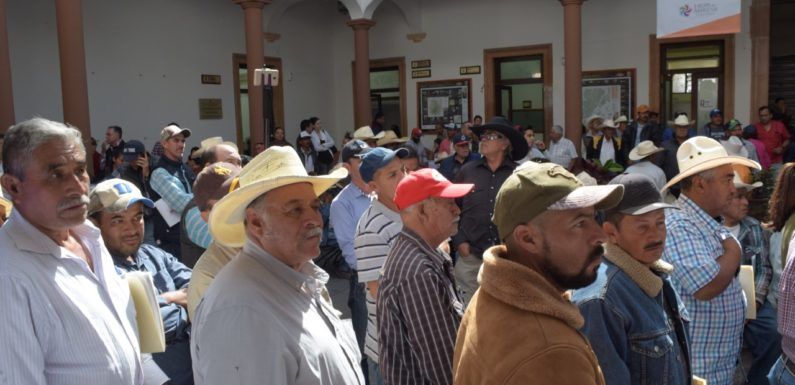Benefician a agricultores laguenses con apoyos para semilla mejorada