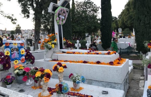 Emite Ecología recomendaciones para el Día de Muertos