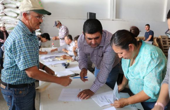 Entregan apoyos a productores del campo