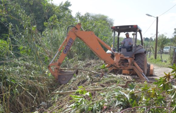 Refuerzan labores de aseo público y limpieza de arroyos