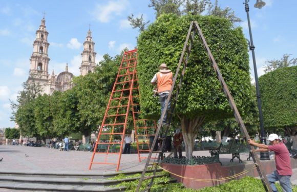 Dan mantenimiento a espacios públicos