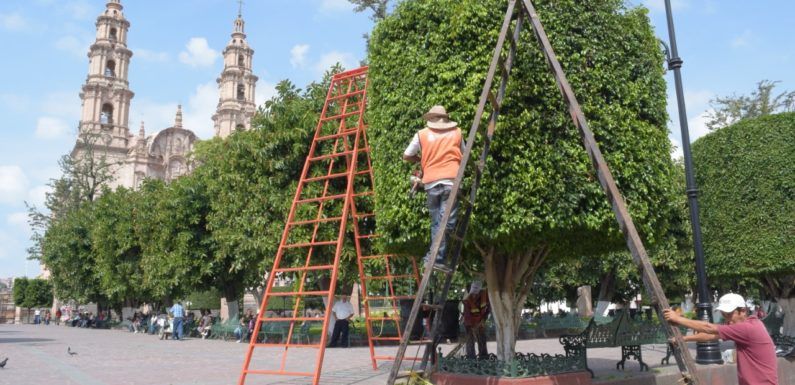 Dan mantenimiento a espacios públicos