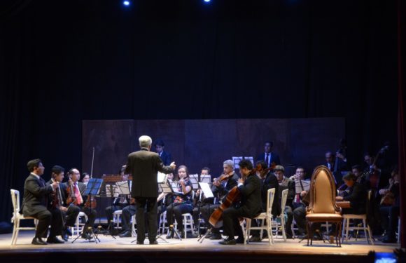 Todo un éxito la presentación de la obra «Pedro y el Lobo»