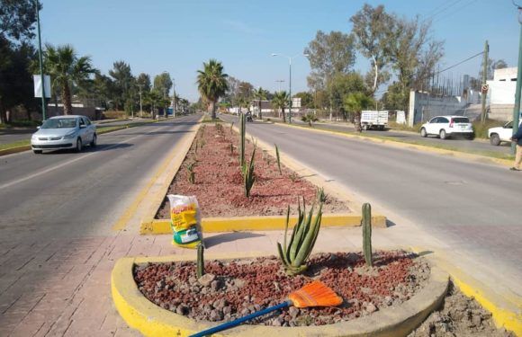 Iniciativa privada y Gobierno Municipal suman esfuerzos para mantener limpias zonas públicas