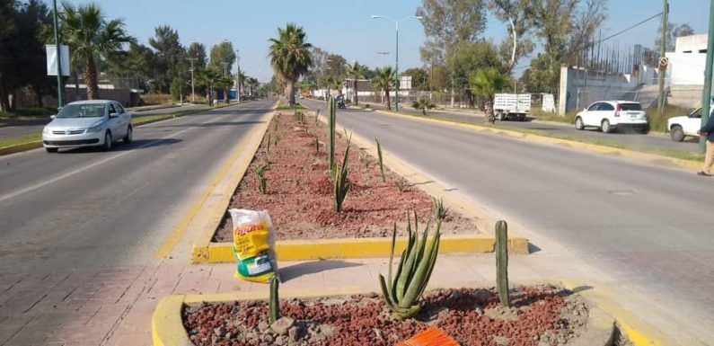 Iniciativa privada y Gobierno Municipal suman esfuerzos para mantener limpias zonas públicas