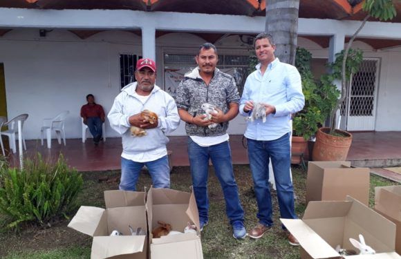Entrega Desarrollo Rural más 25 paquetes de conejos