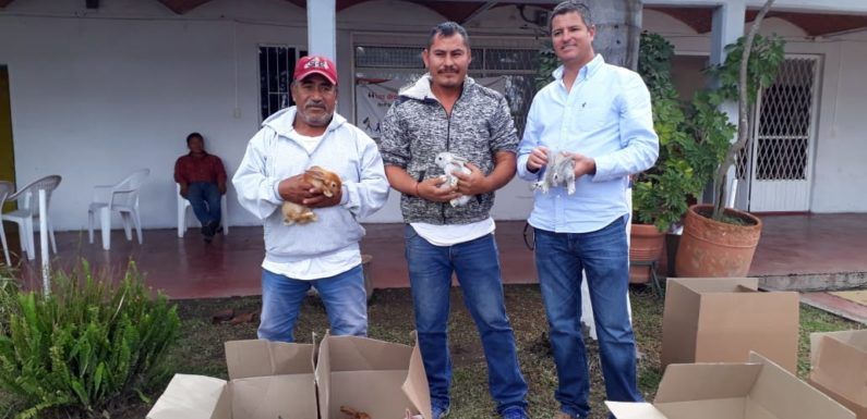Entrega Desarrollo Rural más 25 paquetes de conejos
