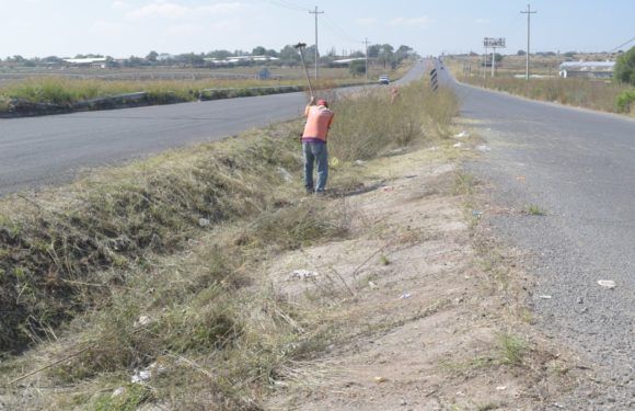 Realiza Servicios Públicos acciones para embellecer la ciudad