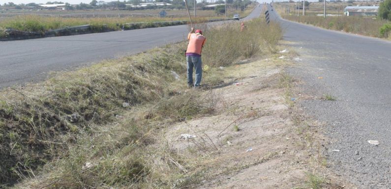 Realiza Servicios Públicos acciones para embellecer la ciudad
