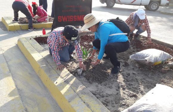 Trabaja Aseo Público en coordinación con empresas y ciudadanía para mejorar imagen urbana