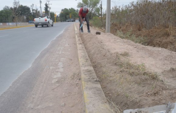 Introducen cableado elecetrtíco y líneas de agua en Avenida 450
