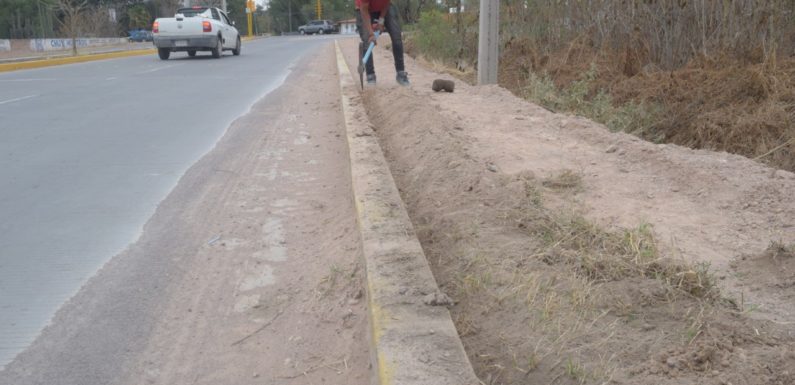 Introducen cableado elecetrtíco y líneas de agua en Avenida 450