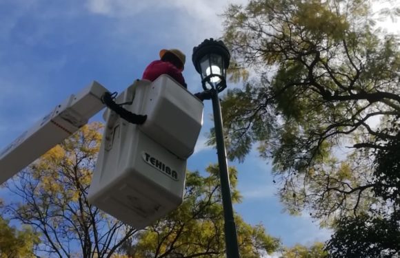Mejoran alumbrado público del jardín de San Felipe