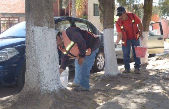 Dan mantenimiento a jardín de Lomas del Valle