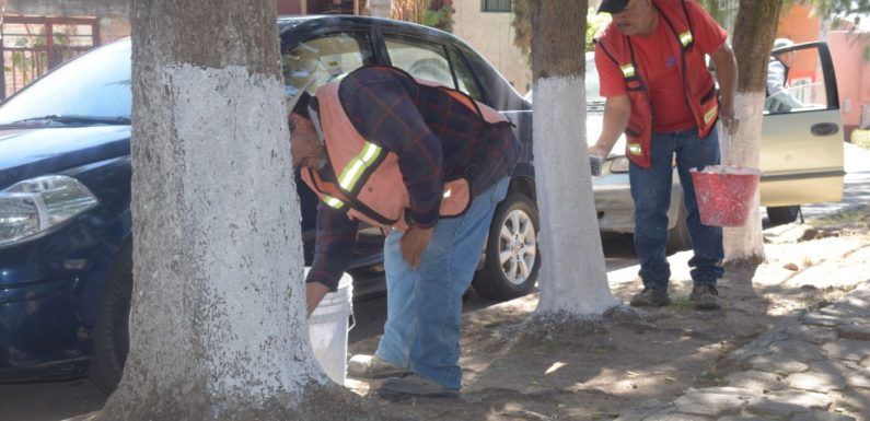 Dan mantenimiento a jardín de Lomas del Valle