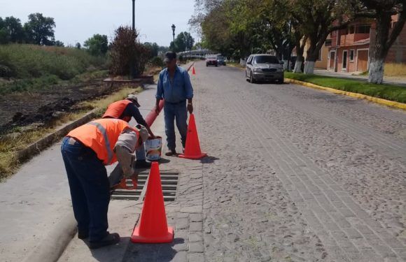Pintan machuelos en banquetas del Malecón