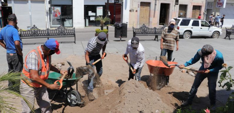 Rehabilitan jardineras de la Plaza Principal de Encarnación de Díaz