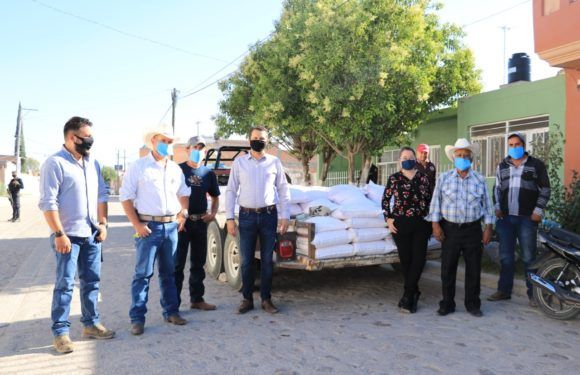Apoyan a agricultores con semilla mejorada