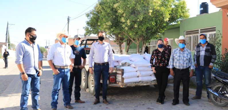 Apoyan a agricultores con semilla mejorada