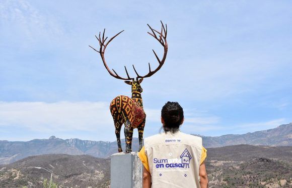 Llevan apoyo económico a la comunidad artística de Jalisco a través del programan SumArte en casa