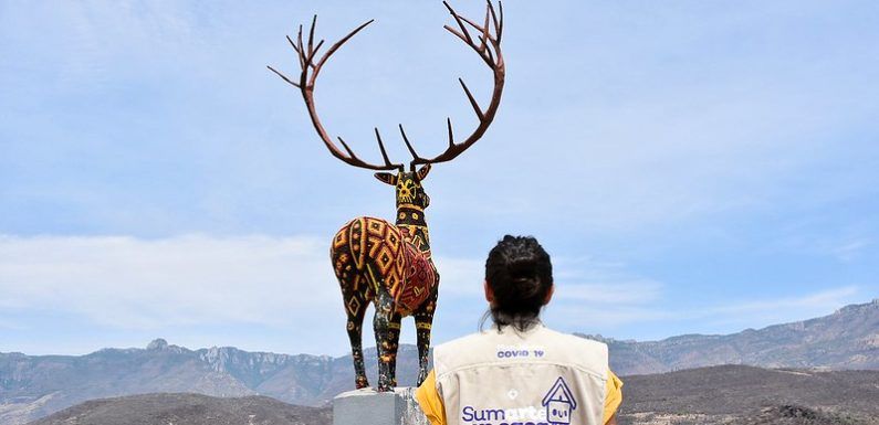 Llevan apoyo económico a la comunidad artística de Jalisco a través del programan SumArte en casa