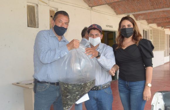 Subsidia Gobierno Municipal programa para cría de peces