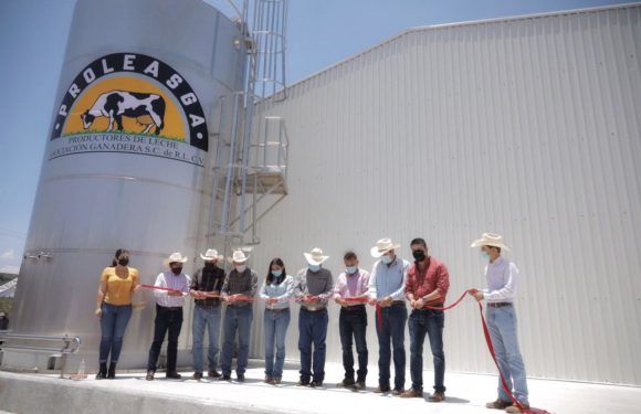 Inauguran en Lagos un centro de acopio de lechero