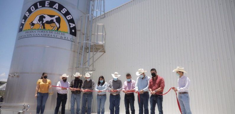Inauguran en Lagos un centro de acopio de lechero