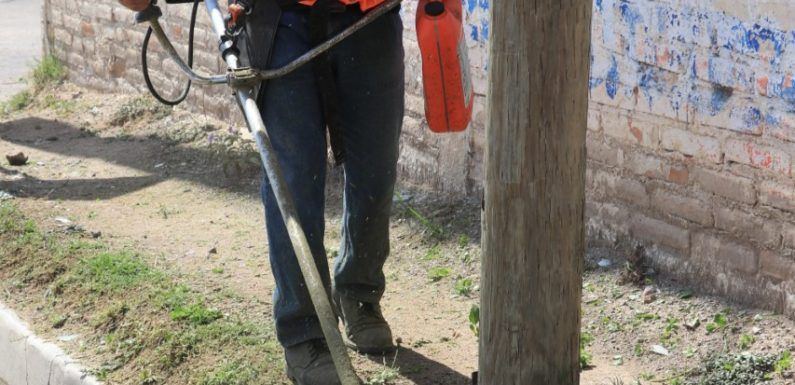Llevan campaña «Encarnación Limpia» al Bajío de San José