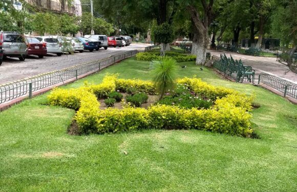 Embellecen la ciudad con más áreas verdes