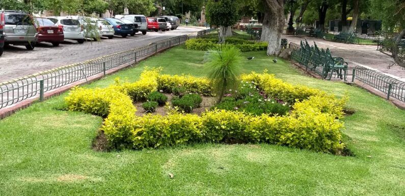 Embellecen la ciudad con más áreas verdes