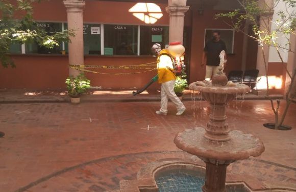 Mantiene Ecología Municipal campaña permanente de sanitización y fumigación