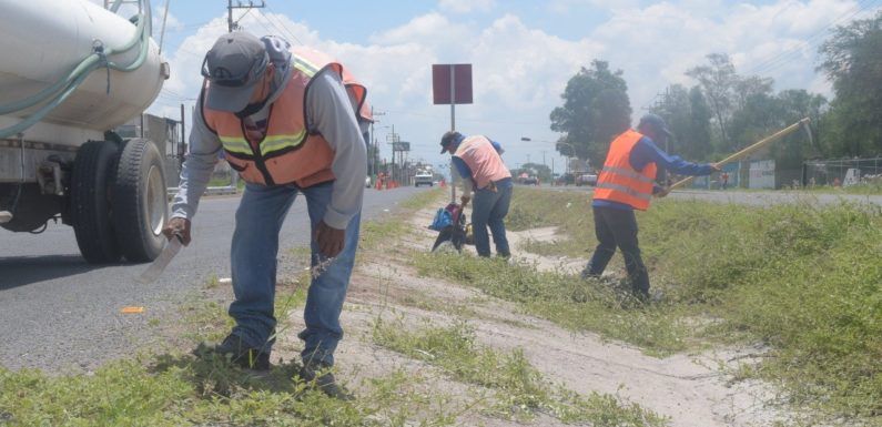 Benefician con empleo temporal a más de 40 laguenses