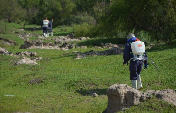 Fumigan el Río Lagos para eliminar zancudos