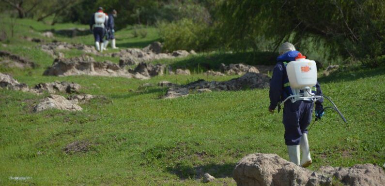 Fumigan el Río Lagos para eliminar zancudos