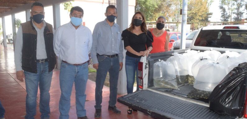 Ofrece Desrrollo Rural programa de apoyo para la crianza de peces