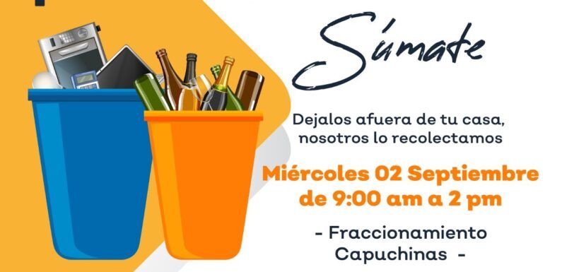 Implementan programa ´Patio Limpio´ para erradicar el mosquito transmisor del Dengue