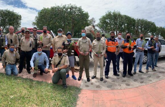 Participan dependencias municipales en programa estatal de reforestación de zonas rurales