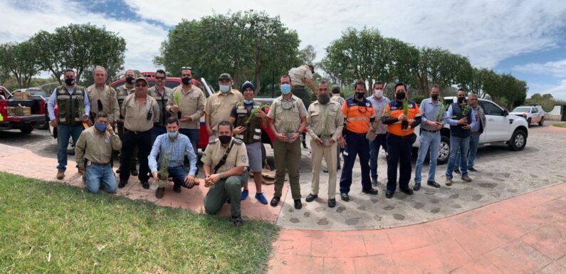 Participan dependencias municipales en programa estatal de reforestación de zonas rurales