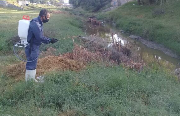 Fumigan el lecho del Río Lagos