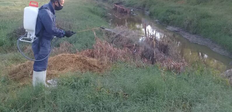 Fumigan el lecho del Río Lagos